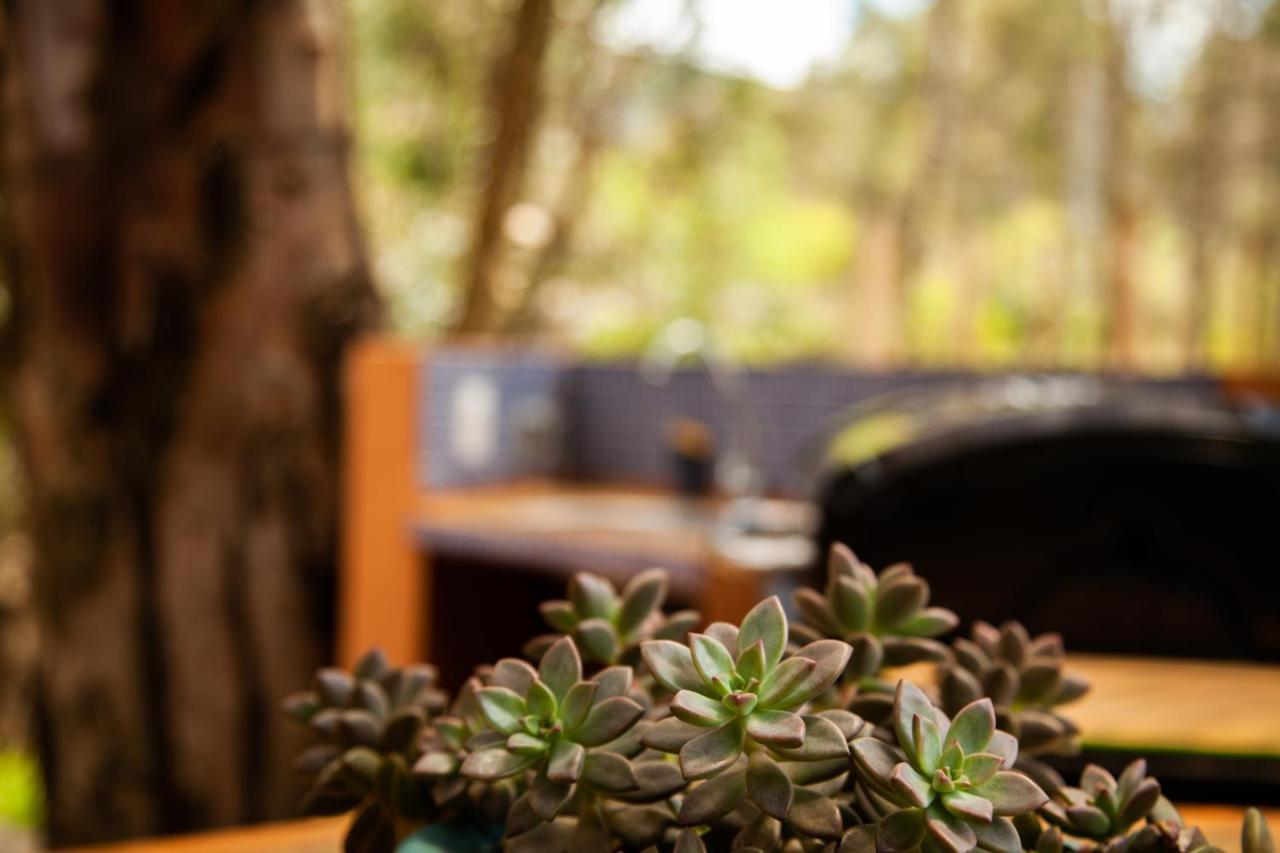 Clavellino House En Villa De Leyva - Tranquilidad Y Naturaleza En Reserva Natural Urbana! Extérieur photo