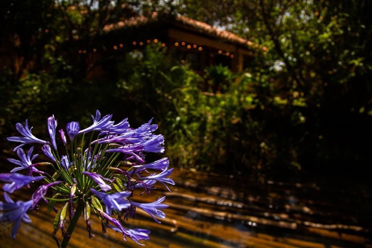 Clavellino House En Villa De Leyva - Tranquilidad Y Naturaleza En Reserva Natural Urbana! Extérieur photo