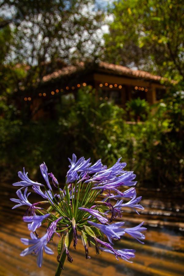 Clavellino House En Villa De Leyva - Tranquilidad Y Naturaleza En Reserva Natural Urbana! Extérieur photo